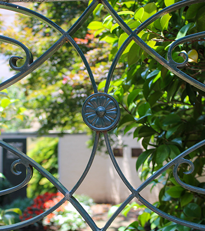 瓦倫丁-傑克遜花園的照片